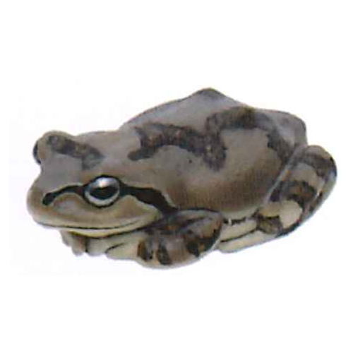 Nature Techni colour MONO PLUS Tree Frog Magnet & Ball Chain [4.Dark brown on brown ground (magnet)]