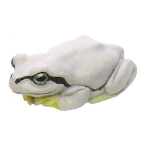 Nature Techni colour MONO PLUS Tree Frog Magnet & Ball Chain [5.White (magnet)]