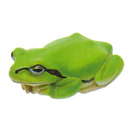 Frog Ball Chain Nature Techni colour MONO PLUS Tree Frog Magnet & Ball Chain [6.Eyelid ...