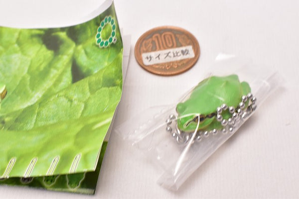 Frog Ball Chain Nature Techni colour MONO PLUS Tree Frog Magnet & Ball Chain [9.Green ...