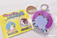 reptile �• amphibian Acrylic mascot key chain [2.Mission golden-eyed tree frog]