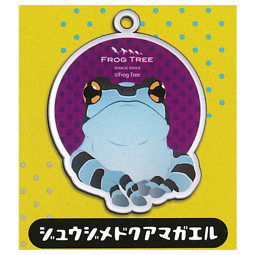 reptile �• amphibian Acrylic mascot key chain [2.Mission golden-eyed tree frog]