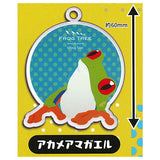 reptile �• amphibian Acrylic mascot key chain [3.Red-eyed tree frog]