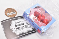 Punitto Packed Fruit Mascot Ball Chain Part.7 [5.Apple]