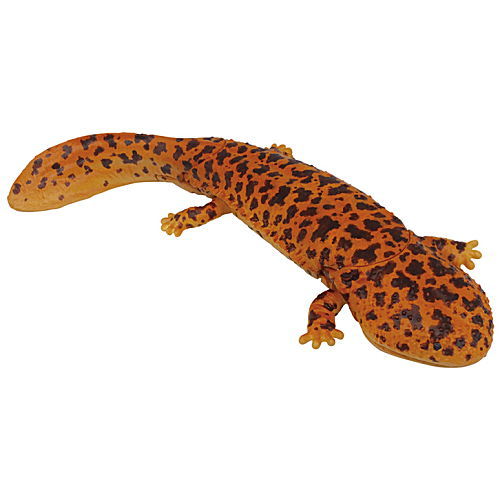 Mizube no Nakama (Waterside Creature) Nature is a friend [3.Giant salamander]