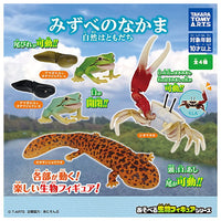 Mizube no Nakama (Waterside Creature) Nature is a friend [All 4 type set (Full Complete)]