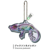 Science Technicolour New World Transparent Specimen Acrylic Mascot DX [1.Jackson's chameleon]