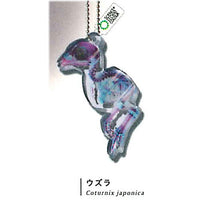 Science Technicolour New World Transparent Specimen Acrylic Mascot DX [7.Quail]