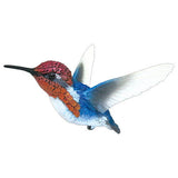 1/1 bee hummingbird [1.Hovering male]