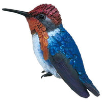 1/1 bee hummingbird [4.Feather rest, male]