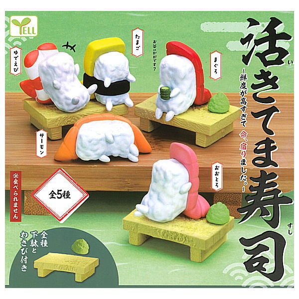 Ikitemasushi [All 5 type set(Full Complete)]