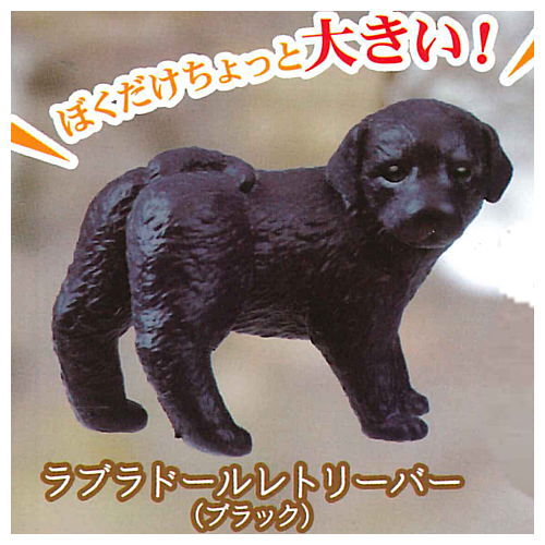 Furimukeba kimi ga... Dog promise [1.Labrador Retriever (Black)]