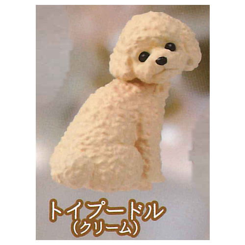 Furimukeba kimi ga... Dog promise [3.Toy poodle (Cream)]