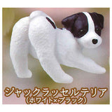 Furimukeba kimi ga... Dog promise [5.Jack Russell Terrier (White x Black)]