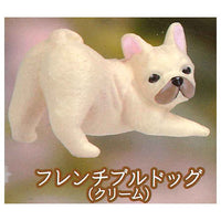 Furimukeba kimi ga... Dog promise [6.French bulldog (Cream)]