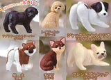 Furimukeba kimi ga... Dog promise [All 6 type set (Full Complete)]