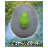 Frog cry [1.Japanese tree frog]