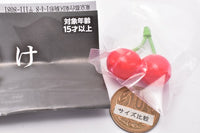 Machiboke Fruit [2.Cherry]