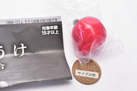 Machiboke Fruit [4.Apple]