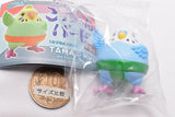 TAMA-KYU Gottsuan Bird [3.Parakeet Seki (white x light blue)]