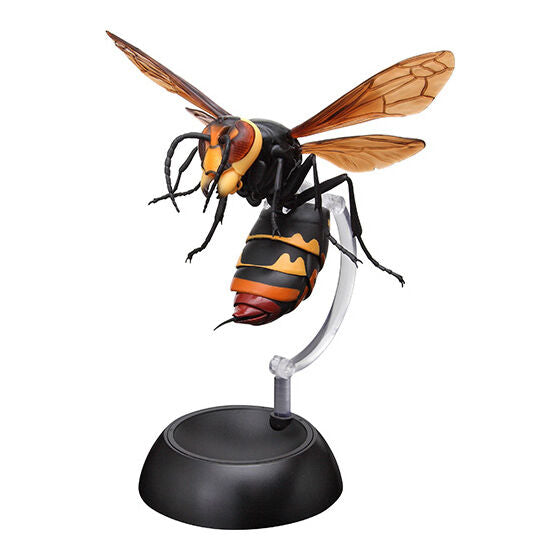 Potter wasp Gashapon [3.Asian hornet (capsule display base)]