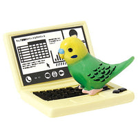 Telework jama parakeet [1.Budgerigar (normal) and laptop]