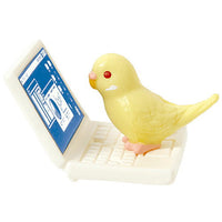 Telework jama parakeet [3.Budgerigar (Lucino) and laptop]