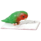 Telework jama parakeet [4.Rosy-faced lovebird (normal) and note]