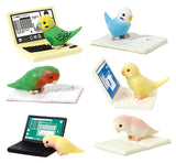 Telework jama parakeet [All 6 type set (Full Complete)]