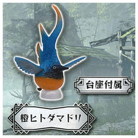 Monster Hunter Rise Environmental Biological Encyclopedia Part.1 [3.Orange hitodamadori]