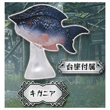 Monster Hunter Rise Environmental Biological Encyclopedia Part.1 [5.Kigania]