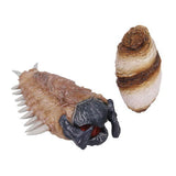 Tremors GRABOIDS COLLECTION [3.Larva & Egg]