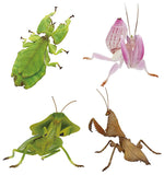 Primary color pictorial book series Primary color mimicry insects [All 4 type set (Full Complete)]