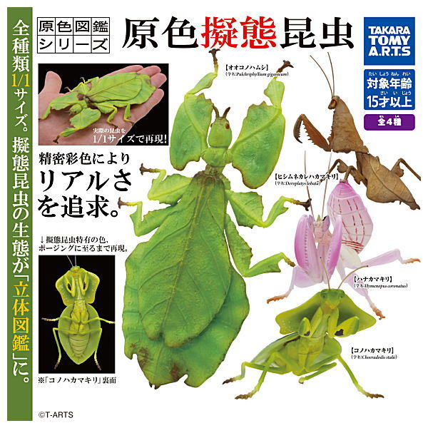 Primary color pictorial book series Primary color mimicry insects [All 4 type set (Full Complete)]