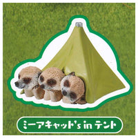 Asakuma Toshio Animal Camp [Ani Can] part.3 [1.Meerkat's in tent]