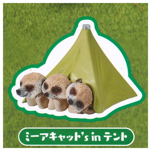 Asakuma Toshio Animal Camp [Ani Can] part.3 [1.Meerkat's in tent]