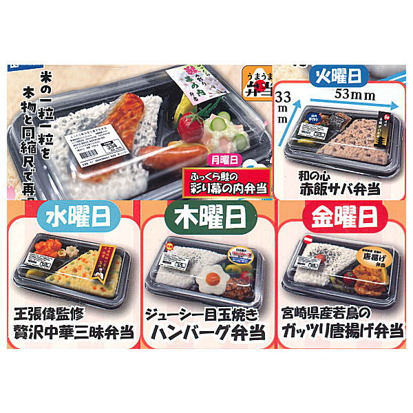 Super Precision Resin Clay Miniature special daily bento [Normal 5 type set(Secret are NOT including)]
