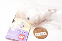 Glasses holder Capsule Meganekko [1.A pattern White cat A]