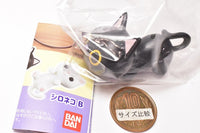 Glasses holder Capsule Meganekko [2.A pattern Black cat A]