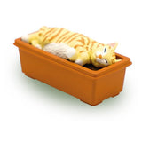 Pokapoka Planter cat mascot figure [3.Chatora]