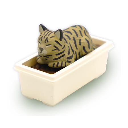 Pokapoka Planter cat mascot figure [5.Kijitora]