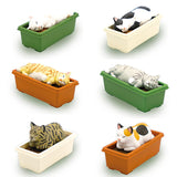 Pokapoka Planter cat mascot figure [All 6 type set(Full Complete)]