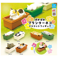 Pokapoka Planter cat mascot figure [All 6 type set(Full Complete)]