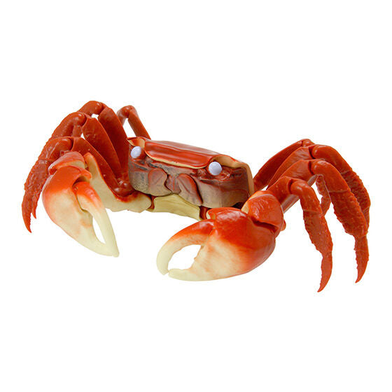 Crab Gashapon Part.2 [3.Red claws crab (red)]