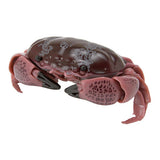 Crab Gashapon Part.2 [4.Floral egg crab (real color ver.)]