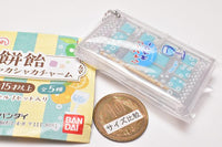 Kyoushin seika Mochiame Shakashaka Charm [2.Champagne Cider]