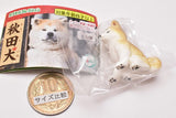 Akitainu [1.Sitting (light brown)]