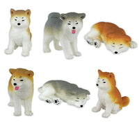 Akitainu [All 6 type set (Full Complete)]