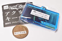Girls' Frontline Acrylic key chain [4.M16A1 (2)]