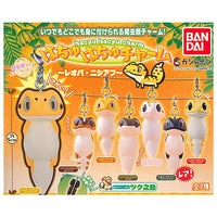 Hachu Hachu Charm Leopa Nisiaf [All 7 type set (Full Complete)]